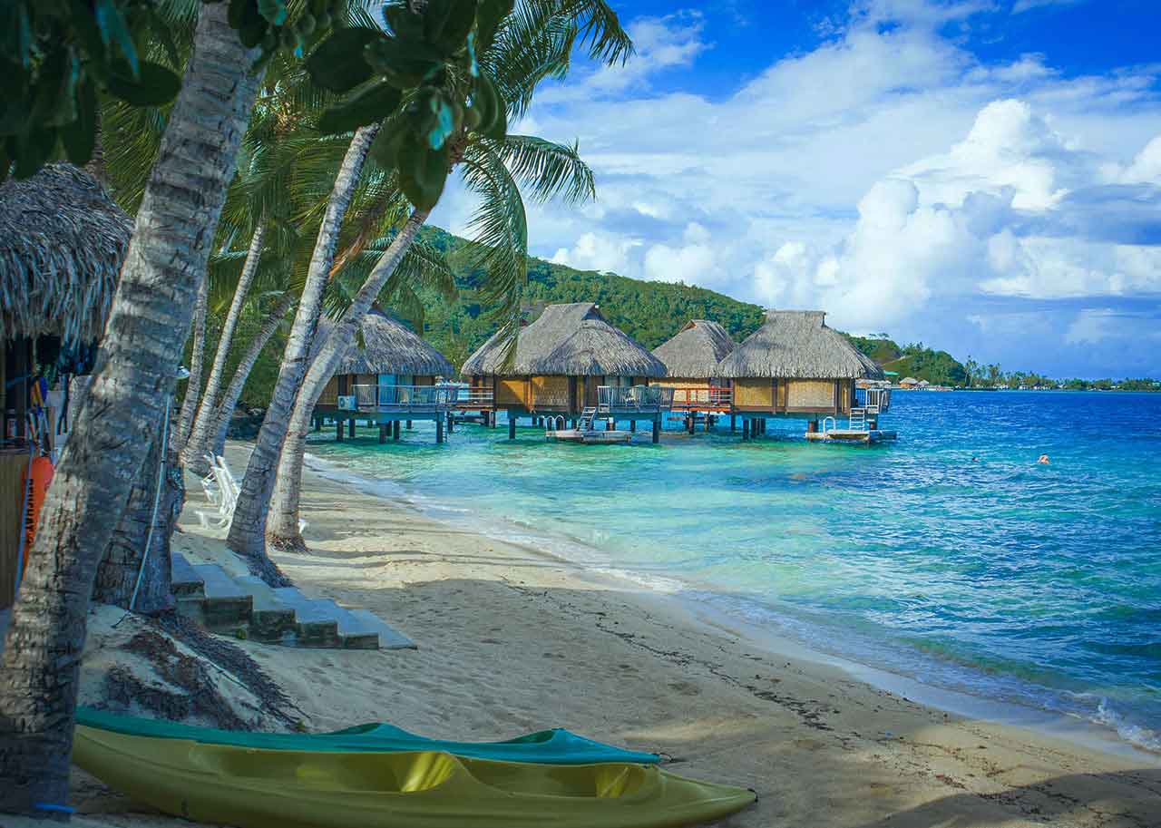 Lire la suite à propos de l’article A Paradise for Holiday