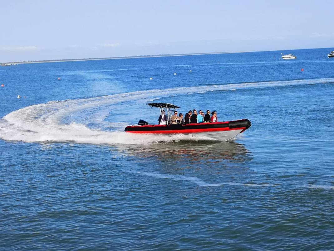 Lire la suite à propos de l’article Balades en semi-rigide à la découverte du Perthuis Breton