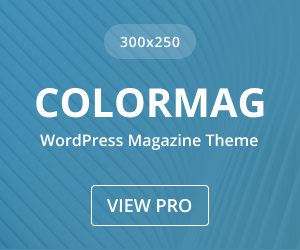 Lire la suite à propos de l’article Cat Lost Her Ears — So The Shelter Made Her A New Pair